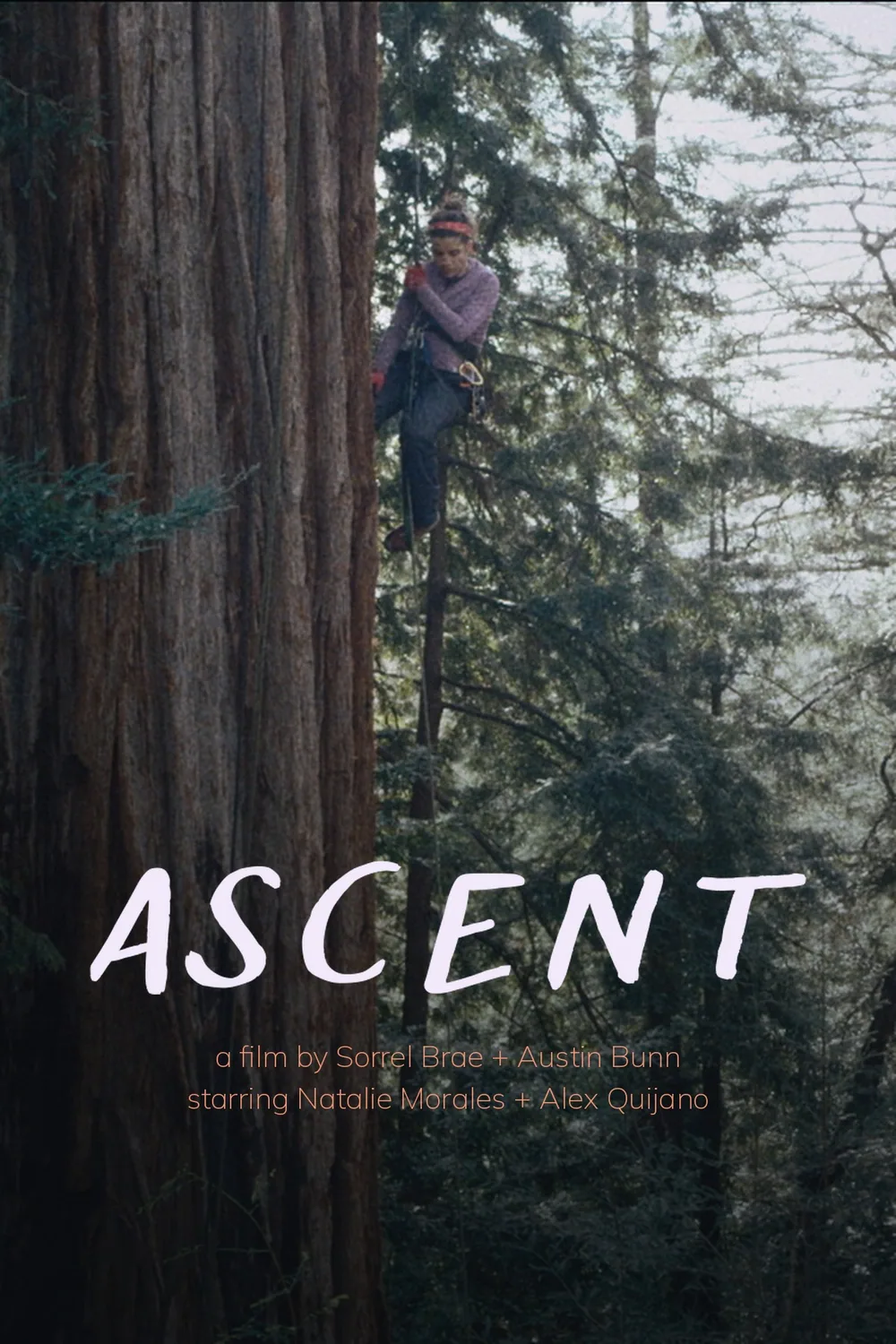 Ascent